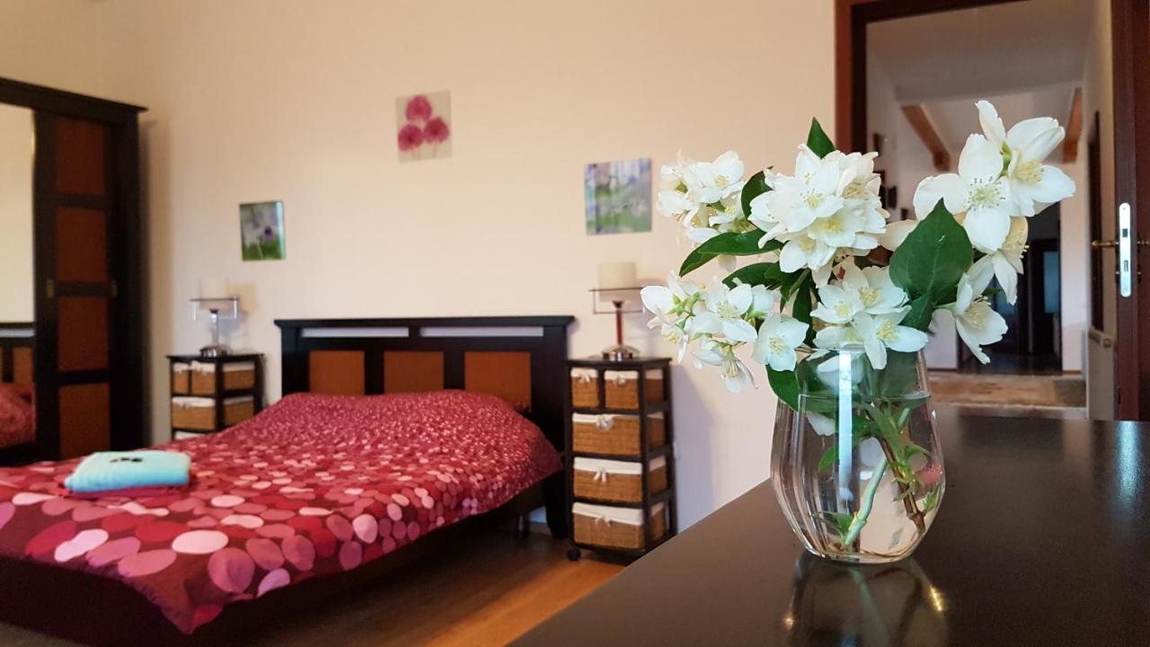 Jasmine Residence Prejmer المظهر الخارجي الصورة